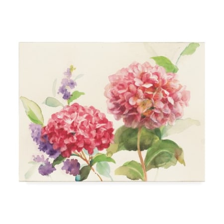 Danhui Nai 'Watercolor Hydrangea' Canvas Art,24x32